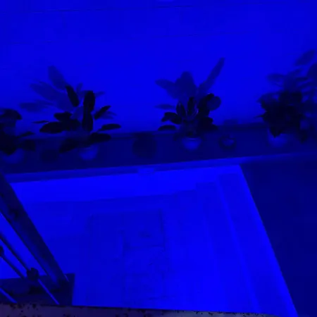 Handy Specus Séjour chez l'habitant