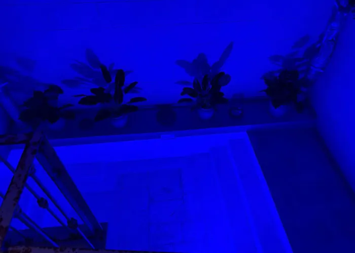 Handy Specus Privatunterkunft